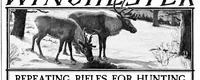 Picture 14 of 18 from Scientific American, Vol. 99, No. 19 (November 1908) (1908), leaf 18