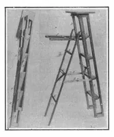 An illustration from Scientific American, Vol. 99, No. 20 (November 1908) (1908)