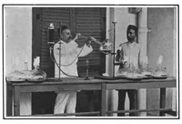 Picture 3 of 24 from Scientific American, Vol. 99, No. 22 (November 1908) (1908), leaf 0