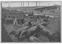 Picture 7 of 18 from Scientific American, Vol. 100, No. 4 (January 1909) (1909), leaf 7