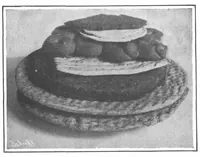 Picture 9 of 14 from Scientific American, Vol. 100, No. 5 (January 1909) (1909), leaf 10