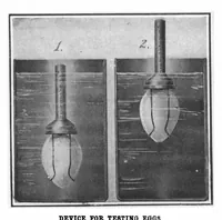 Picture 12 of 14 from Scientific American, Vol. 100, No. 5 (January 1909) (1909), leaf 11