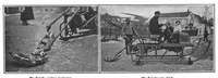 Picture 7 of 12 from Scientific American, Vol. 100, No. 9 (February 1909) (1909), leaf 7