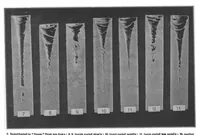 Picture 4 of 14 from Scientific American, Vol. 100, No. 17 (April 1909) (1909), leaf 4