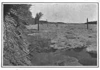 An illustration from Scientific American, Vol. 100, No. 18 (May 1909) (1909)