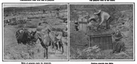 Picture 1 of 14 from Scientific American, Vol. 101, No. 2 (July 1909) (1909), leaf 3