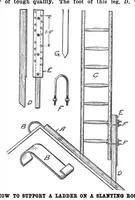 Picture 13 of 16 from Scientific American, Vol. 101, No. 5 (July 1909) (1909), leaf 11