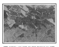 An illustration from Scientific American, Vol. 101, No. 10 (September 1909) (1909)