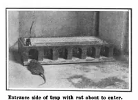 Picture 3 of 19 from Scientific American, Vol. 101, No. 12 (September 1909) (1909), leaf 3