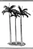 An illustration from Scientific American, Vol. 101, No. 13 (September 1909) (1909)
