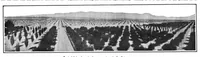 An illustration from Scientific American, Vol. 101, No. 15 (October 1909) (1909)