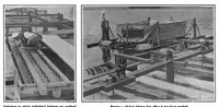 An illustration from Scientific American, Vol. 101, No. 16 (October 1909) (1909)