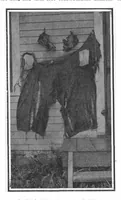 Picture 8 of 21 from Scientific American, Vol. 101, No. 17 (October 1909) (1909), leaf 6