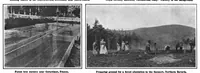 Picture 9 of 20 from Scientific American, Vol. 101, No. 18 (October 1909) (1909), leaf 8