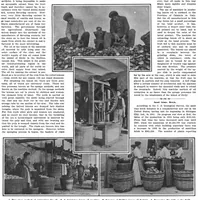 An illustration from Scientific American, Vol. 101, No. 21 (November 1909) (1909)