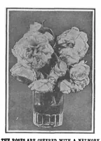 An illustration from Scientific American, Vol. 101, No. 22 (November 1909) (1909)