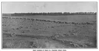 Picture 13 of 31 from Scientific American, Vol. 101, No. 24 (December 1909) (1909), leaf 14
