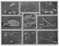 An illustration from Scientific American, Vol. 101, No. 25 (December 1909) (1909)