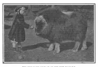 An illustration from Scientific American, Vol. 101, No. 26 (December 1909) (1909)
