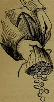 An illustration from The Scientific American reference book; a compendium of useful information for inventors and mechanics, containing the complete patent laws of the United States ... forms for patents, caveats, assignments, licenses, and shop rights ... etc., etc (1876)