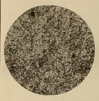 An illustration from Scientific American monthly (1920)