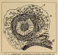 An illustration from Scientific American monthly (1920)