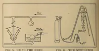 Picture 4 of 7 from Scientific American monthly (1920), leaf 448