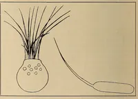 Picture 6 of 7 from Scientific American monthly (1920), leaf 544