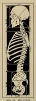 Picture 1 of 2 from Scientific American monthly (1920), leaf 38