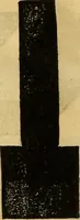 An illustration from Scientific amusements; for the old and the young, the grave and the gay (1844)