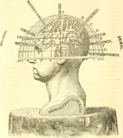 An illustration from The scientific basis of education demonstrated. By an analysis of the temperaments and of phrenological facts, in connection with mental phenomena and the office of the Holy Spirit in the processes of the mind: in a series of letters, to the Department of public instruction in the city of New York, by John Hecker (1867)
