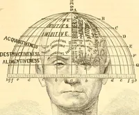 An illustration from The scientific basis of education demonstrated. By an analysis of the temperaments and of phrenological facts, in connection with mental phenomena and the office of the Holy Spirit in the processes of the mind: in a series of letters, to the Department of public instruction in the city of New York, by John Hecker (1867)
