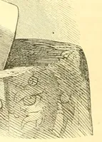 Picture 13 of 13 from The scientific basis of education demonstrated. By an analysis of the temperaments and of phrenological facts, in connection with mental phenomena and the office of the Holy Spirit in the processes of the mind: in a series of letters, to the Department of public instruction in the city of New York, by John Hecker (1867), leaf 111