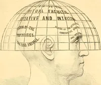 An illustration from The scientific basis of education demonstrated. By an analysis of the temperaments and of phrenological facts, in connection with mental phenomena and the office of the Holy Spirit in the processes of the mind: in a series of letters, to the Department of public instruction in the city of New York, by John Hecker (1867)