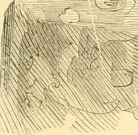 An illustration from The scientific basis of education demonstrated. By an analysis of the temperaments and of phrenological facts, in connection with mental phenomena and the office of the Holy Spirit in the processes of the mind: in a series of letters, to the Department of public instruction in the city of New York, by John Hecker (1867)