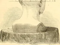 Picture 4 of 13 from The scientific basis of education demonstrated. By an analysis of the temperaments and of phrenological facts, in connection with mental phenomena and the office of the Holy Spirit in the processes of the mind: in a series of letters, to the Department of public instruction in the city of New York, by John Hecker (1867), leaf 58