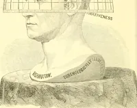 An illustration from The scientific basis of education demonstrated. By an analysis of the temperaments and of phrenological facts, in connection with mental phenomena and the office of the Holy Spirit in the processes of the mind: in a series of letters, to the Department of public instruction in the city of New York, by John Hecker (1867)
