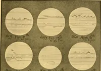 An illustration from The scientific papers of Sir William Huggins (1909)