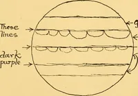 Picture 39 of 51 from The scientific papers of Sir William Huggins (1909), leaf 392