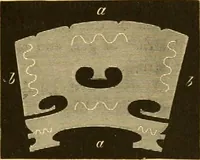 Picture 50 of 51 from The scientific papers of Sir William Huggins (1909), leaf 510