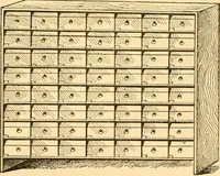 An illustration from Scientific sewing and garment cutting, for use in schools and in the home; (1898)