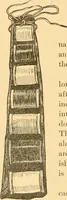 An illustration from Scientific sewing and garment cutting, for use in schools and in the home; (1898)