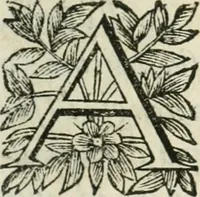 Picture 5 of 16 from Scisma d'Inghilterra, con altre operette (1638), leaf 16