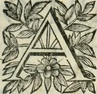 An illustration from Scisma d'Inghilterra, con altre operette (1638)