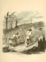 Picture 3 of 12 from Scissors and yardstick, or, all about dry goods : a complete manual, giving a detailed description of each article included in the several departments, together with upholstery and house-furnishing goods ; also, a list of all the principal dry goods manufacturing cities and towns of the world (1872), leaf 43