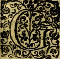 An illustration from Scola cordis. Sive aversi a deo cordis ad cumdem reductio, et instructio .. (1635)