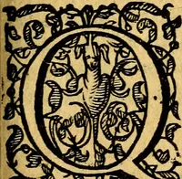 An illustration from Scola cordis. Sive aversi a deo cordis ad cumdem reductio, et instructio .. (1635)