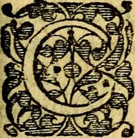 An illustration from Scola cordis. Sive aversi a deo cordis ad cumdem reductio, et instructio .. (1635)
