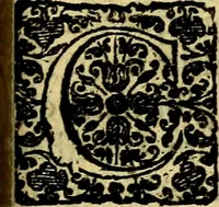 An illustration from Scola cordis. Sive aversi a deo cordis ad cumdem reductio, et instructio .. (1635)