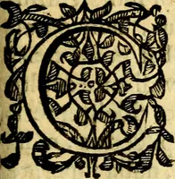 An illustration from Scola cordis. Sive aversi a deo cordis ad cumdem reductio, et instructio .. (1635)